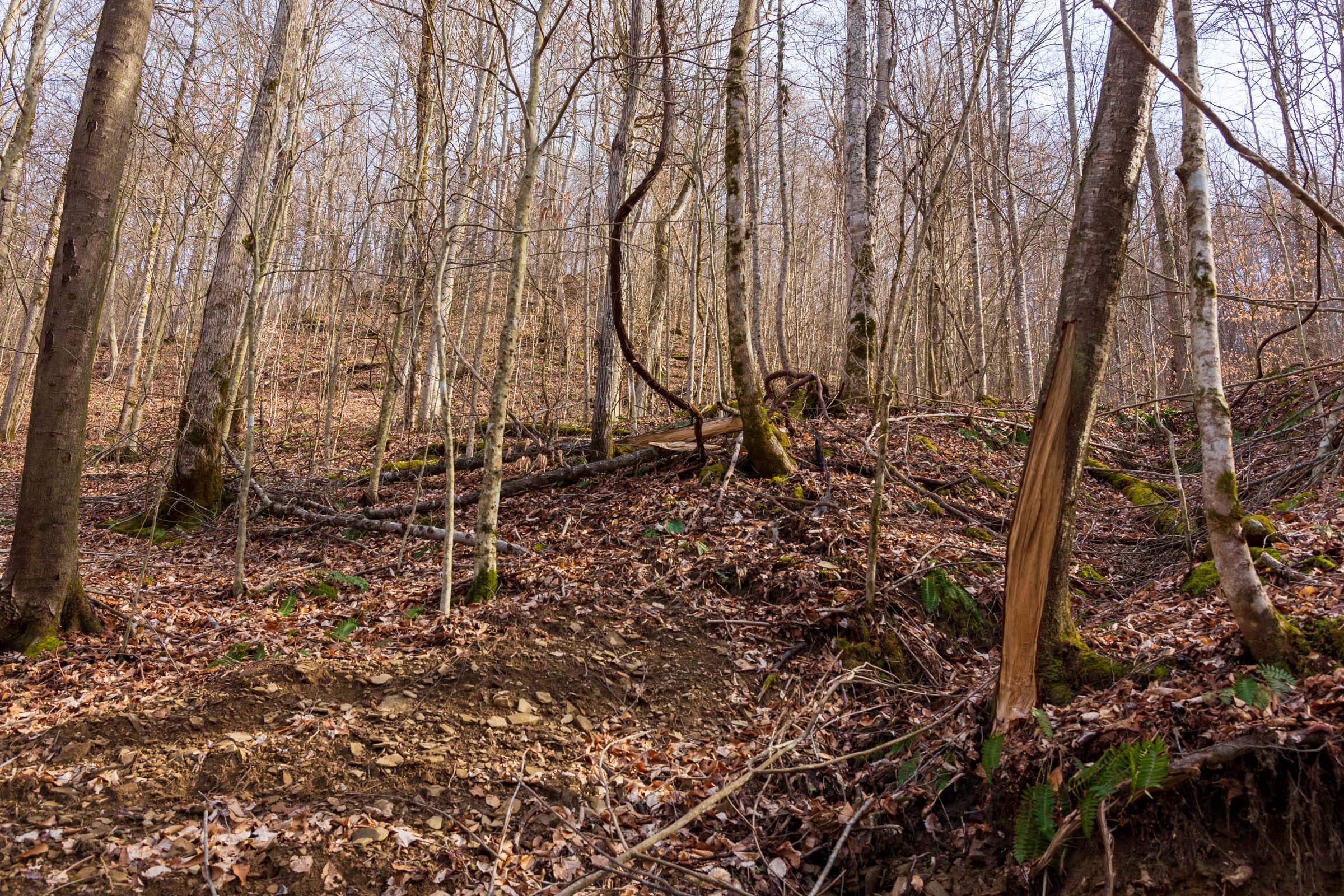 Tract 56 at Blackstone Mountain Phase II in Clay County, Kentucky