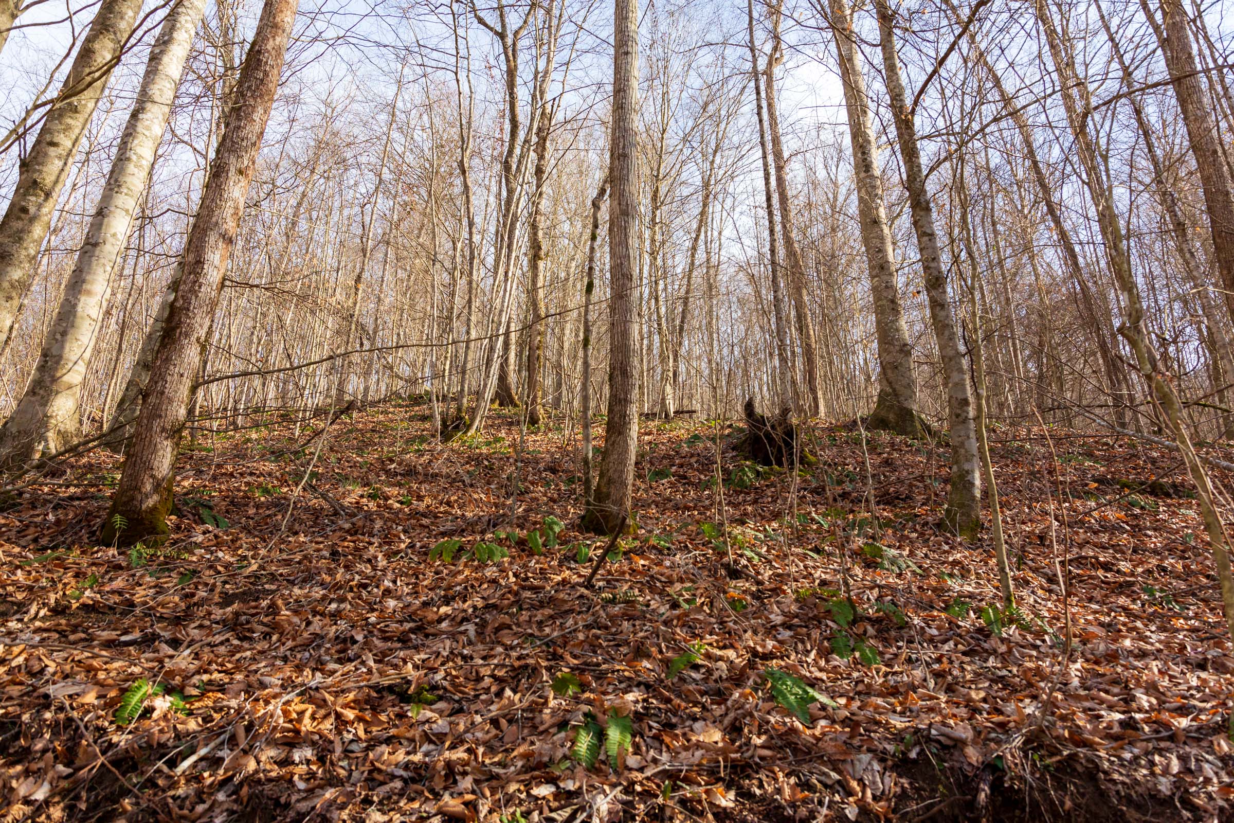 Tract 57 at Blackstone Mountain Phase II in Clay County, Kentucky