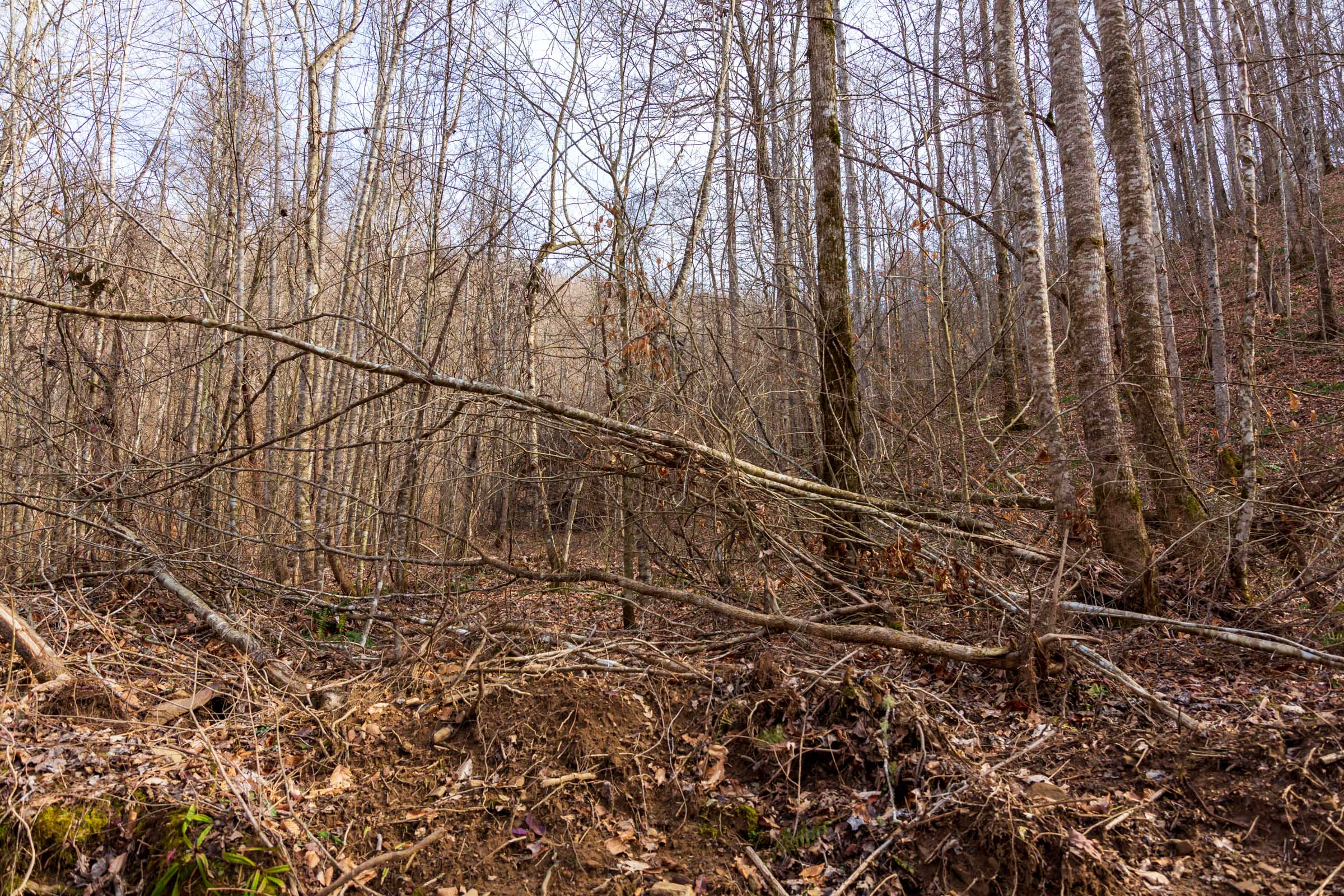 Tract 58 at Blackstone Mountain Phase II in Clay County, Kentucky