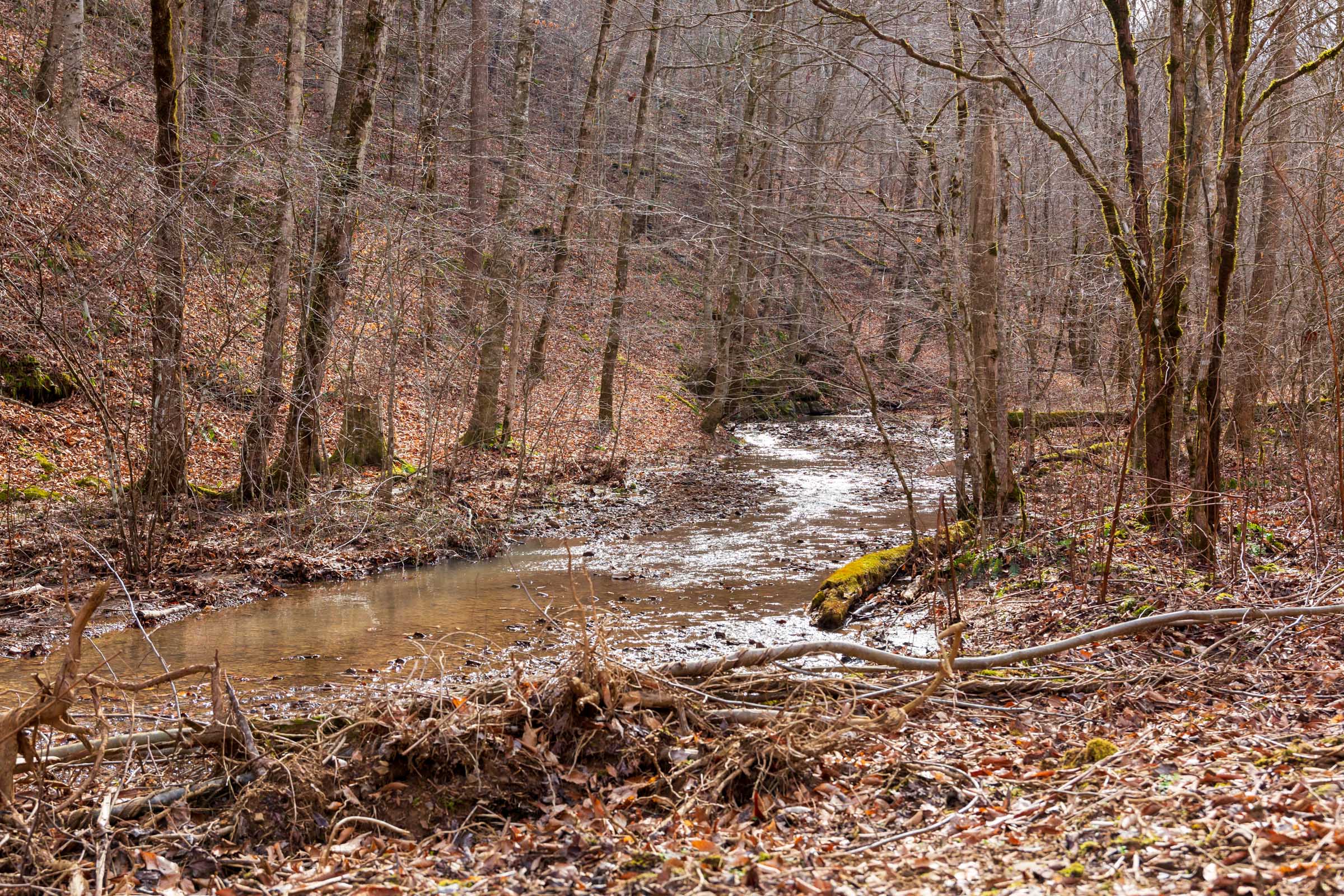 Tract 59 at Blackstone Mountain Phase II in Clay County, Kentucky