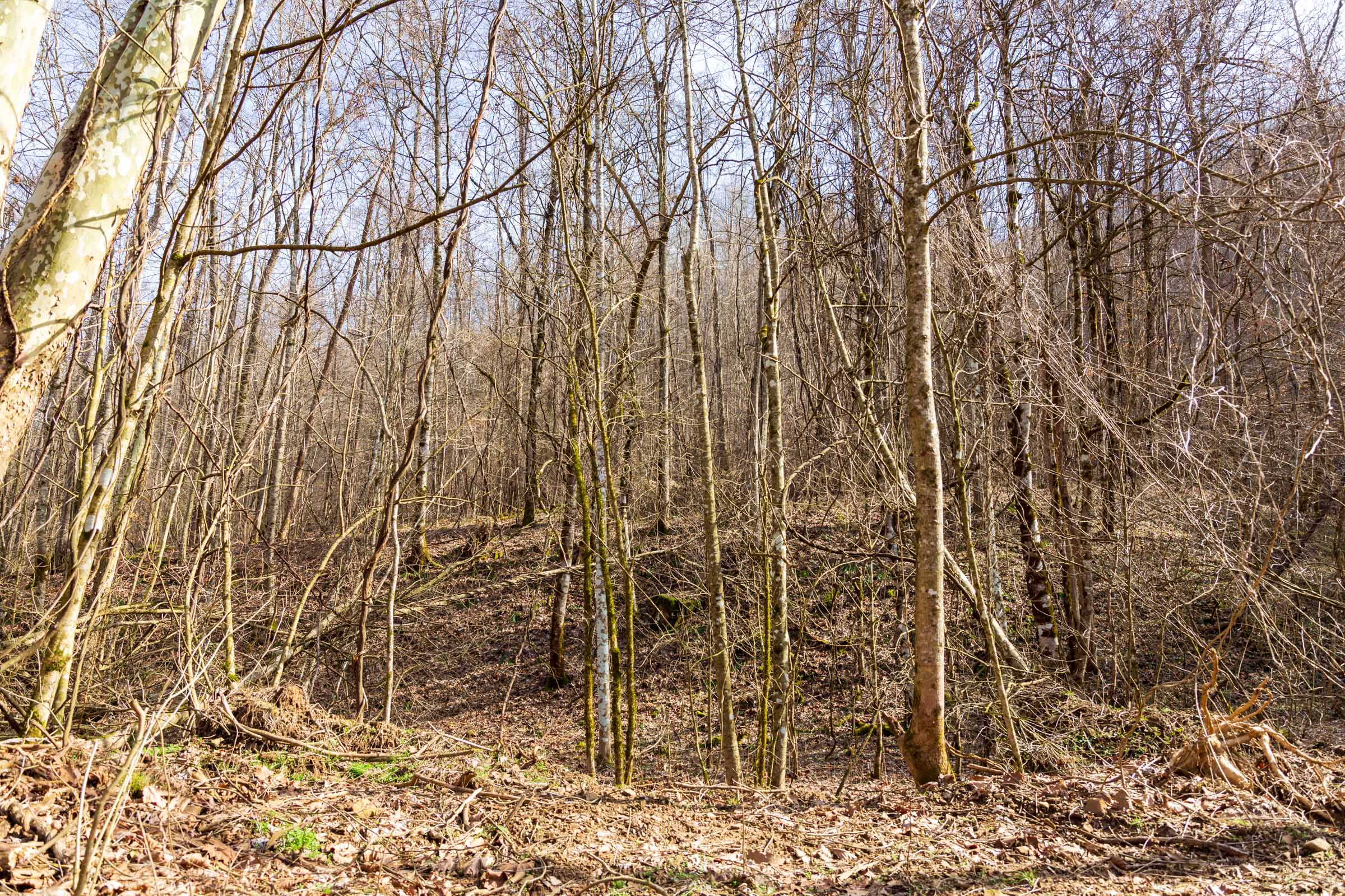Tract 64 at Blackstone Mountain Phase II in Clay County, Kentucky