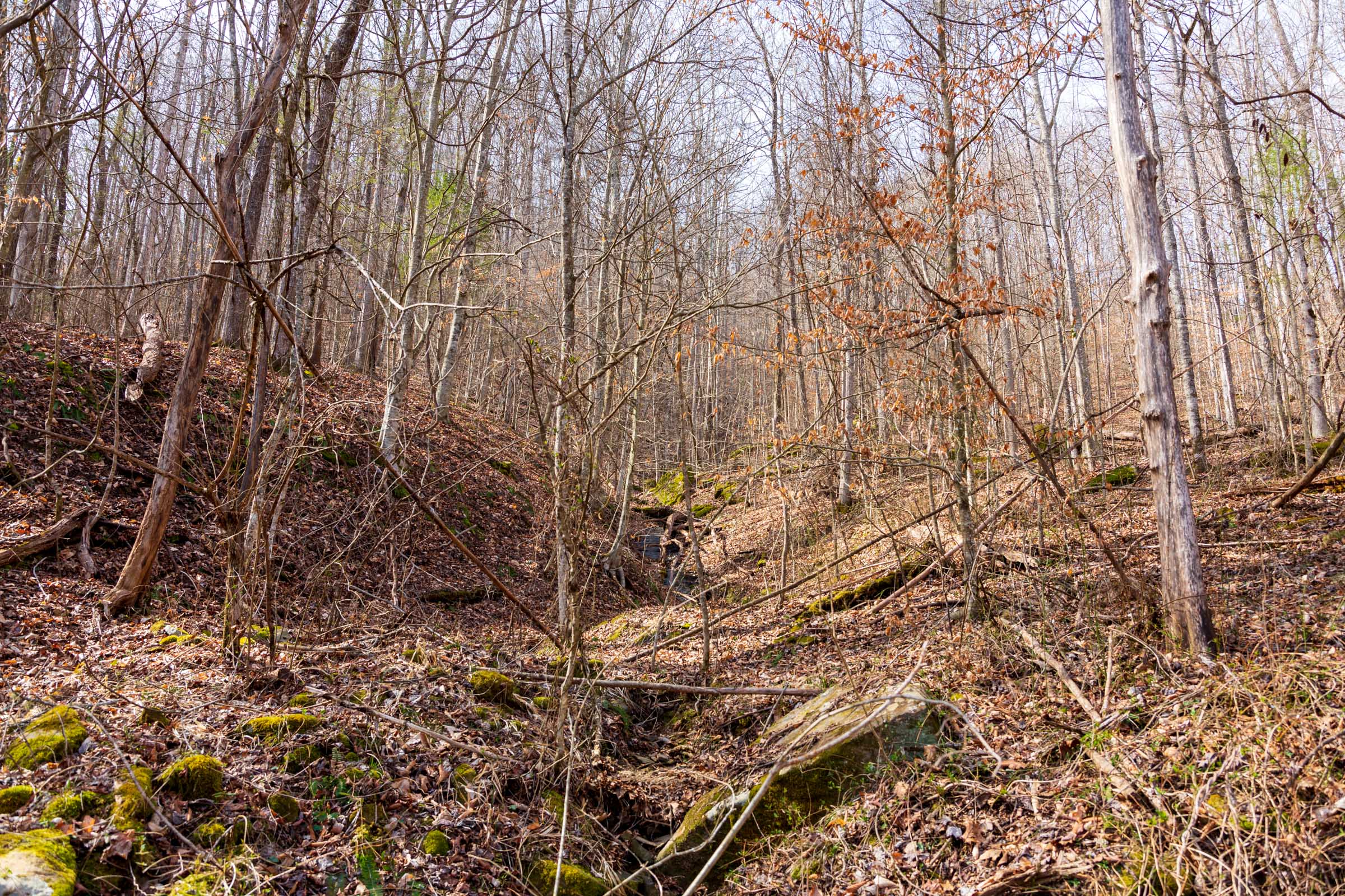Tract 66 at Blackstone Mountain Phase II in Clay County, Kentucky