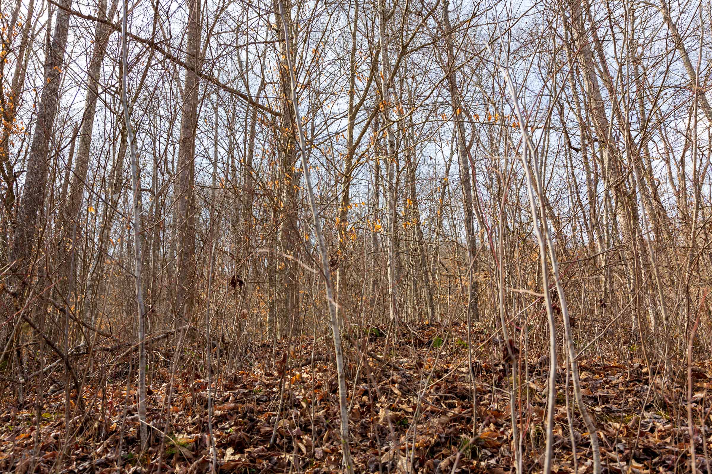 Tract 67 at Blackstone Mountain Phase II in Clay County, Kentucky