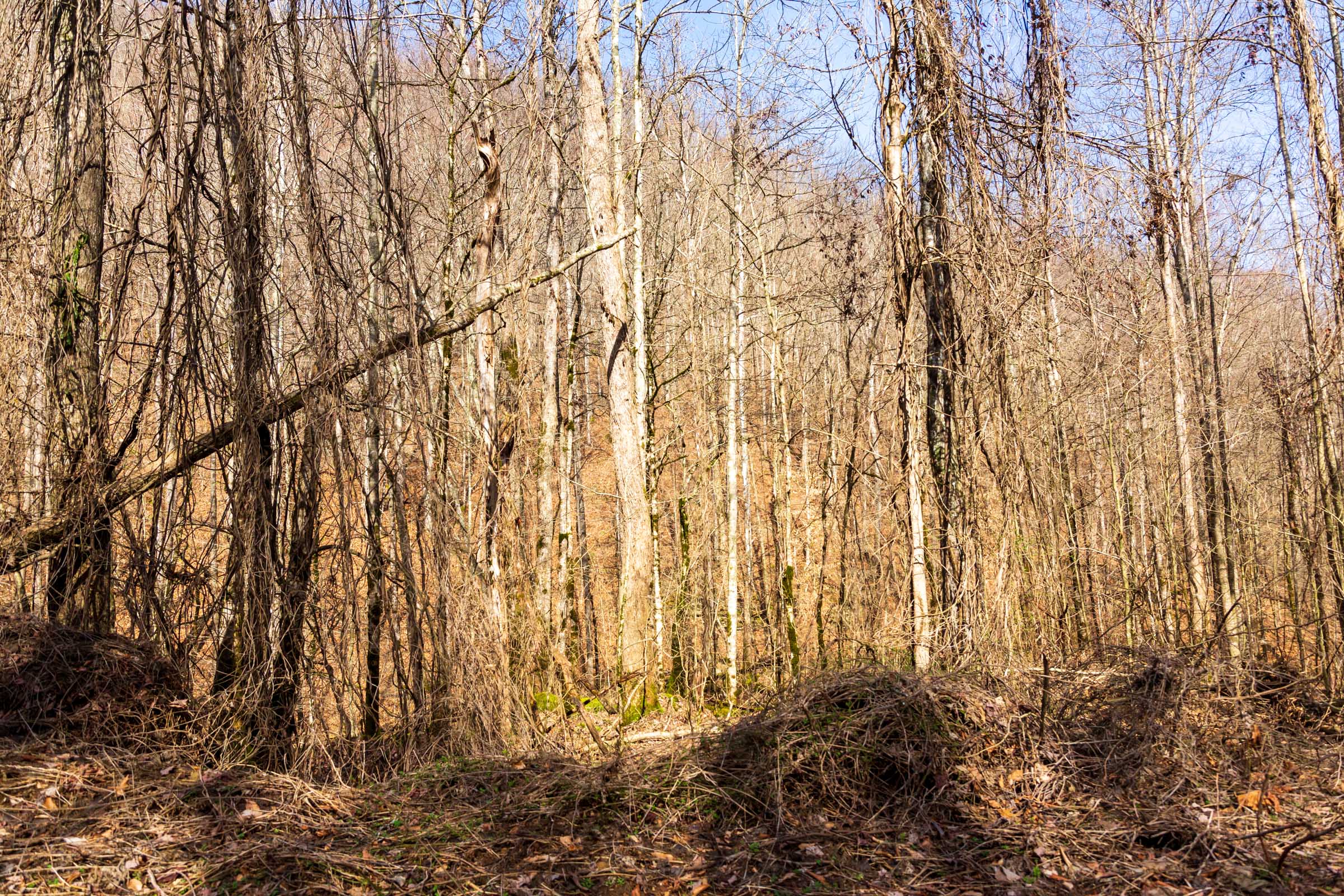 Tract 69 at Blackstone Mountain Phase II in Clay County, Kentucky