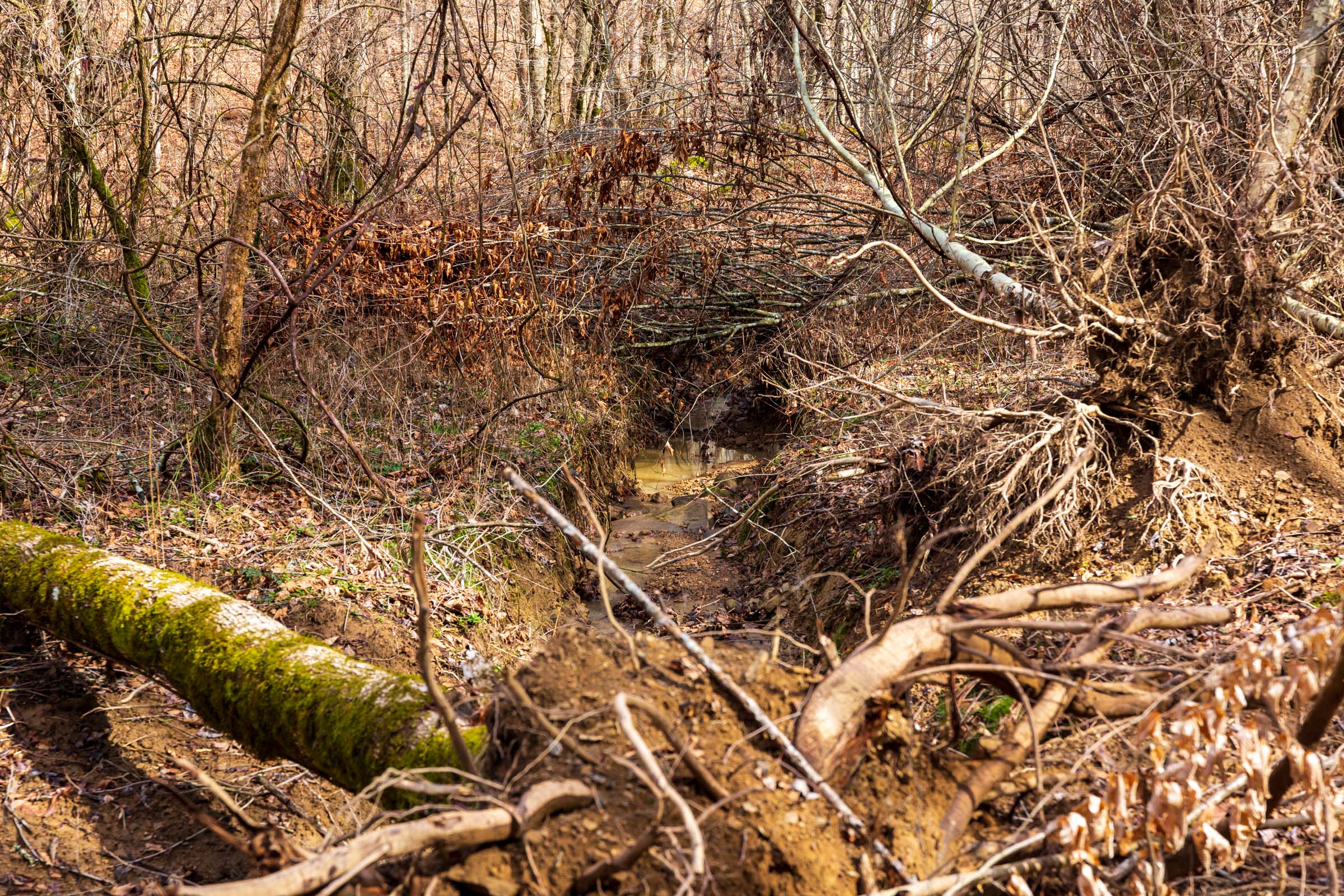 Tract 71 at Blackstone Mountain Phase II in Clay County, Kentucky
