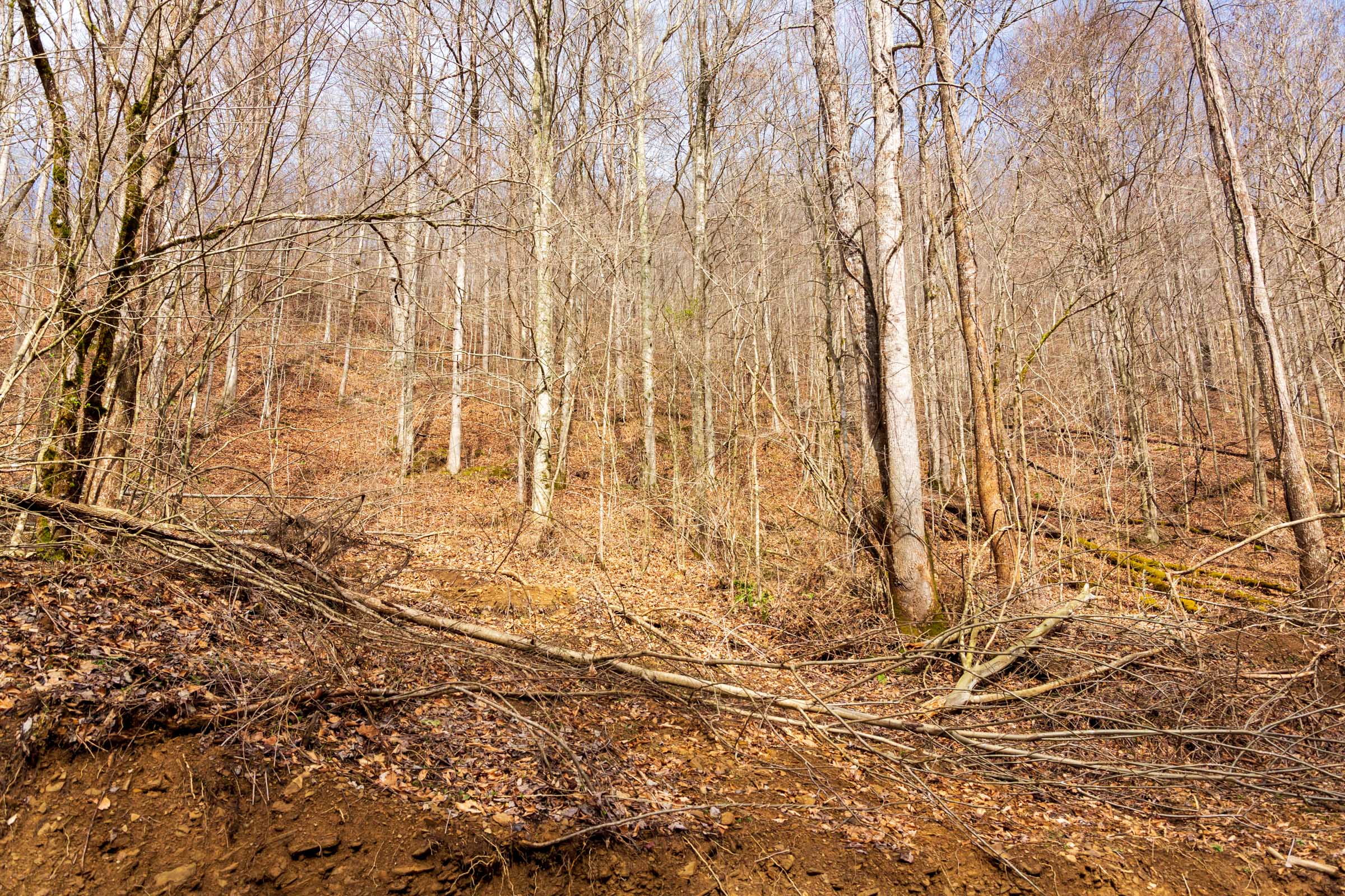Tract 72 at Blackstone Mountain Phase II in Clay County, Kentucky