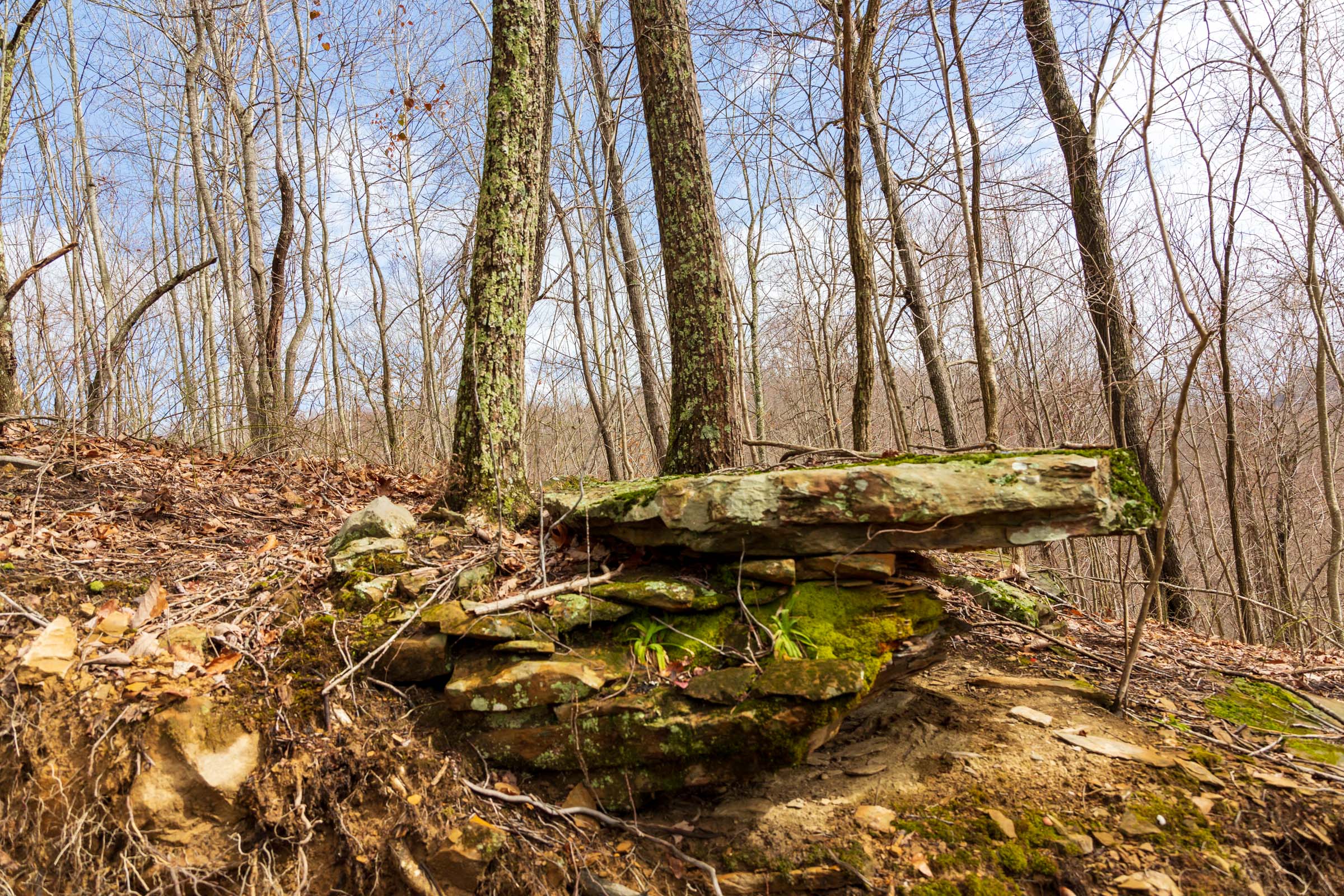 Tract 73 at Blackstone Mountain Phase II in Clay County, Kentucky