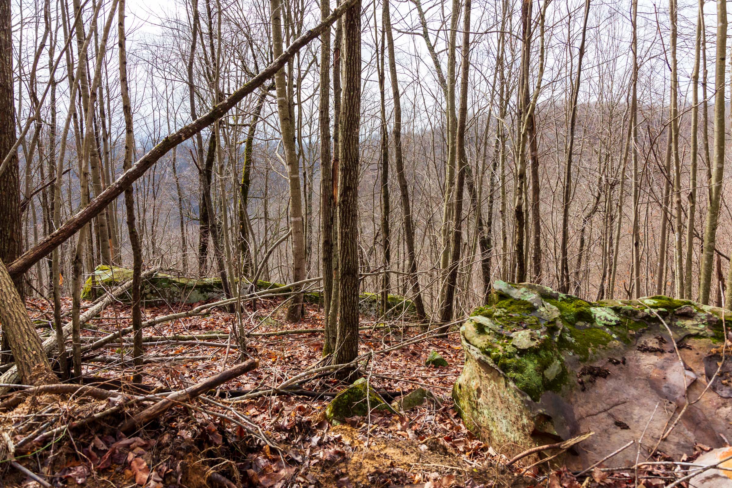 Tract 77 at Blackstone Mountain Phase II in Clay County, Kentucky