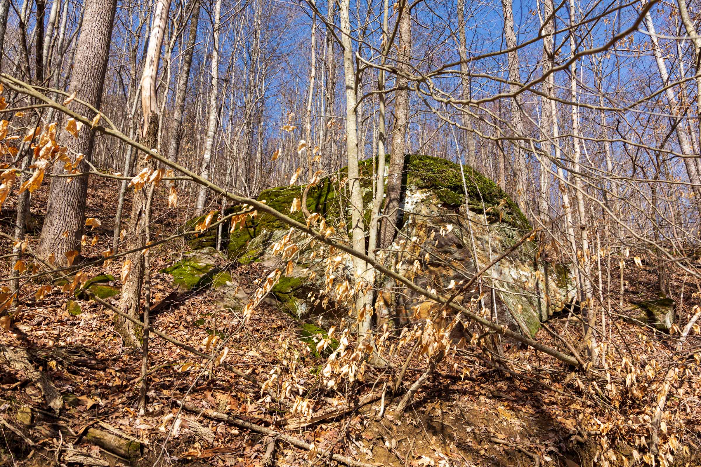 Tract 81 at Blackstone Mountain Phase II in Clay County, Kentucky