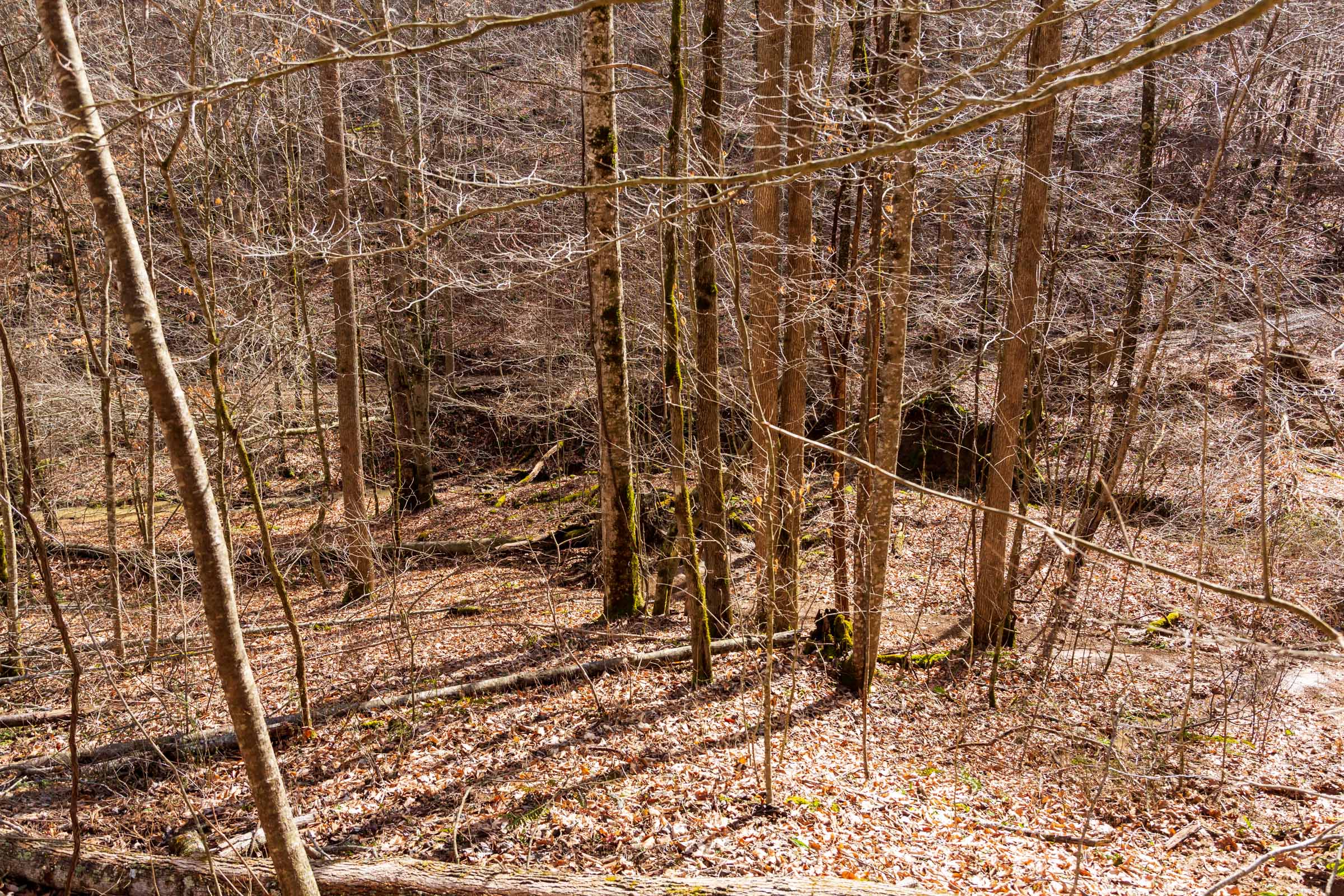 Tract 82 at Blackstone Mountain Phase II in Clay County, Kentucky