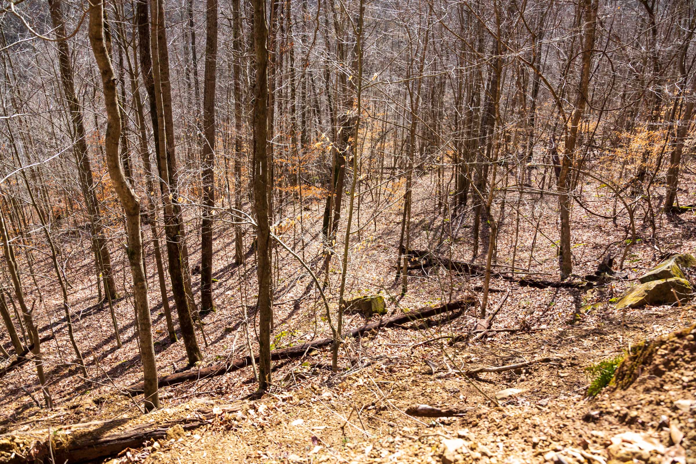Tract 83 at Blackstone Mountain Phase II in Clay County, Kentucky