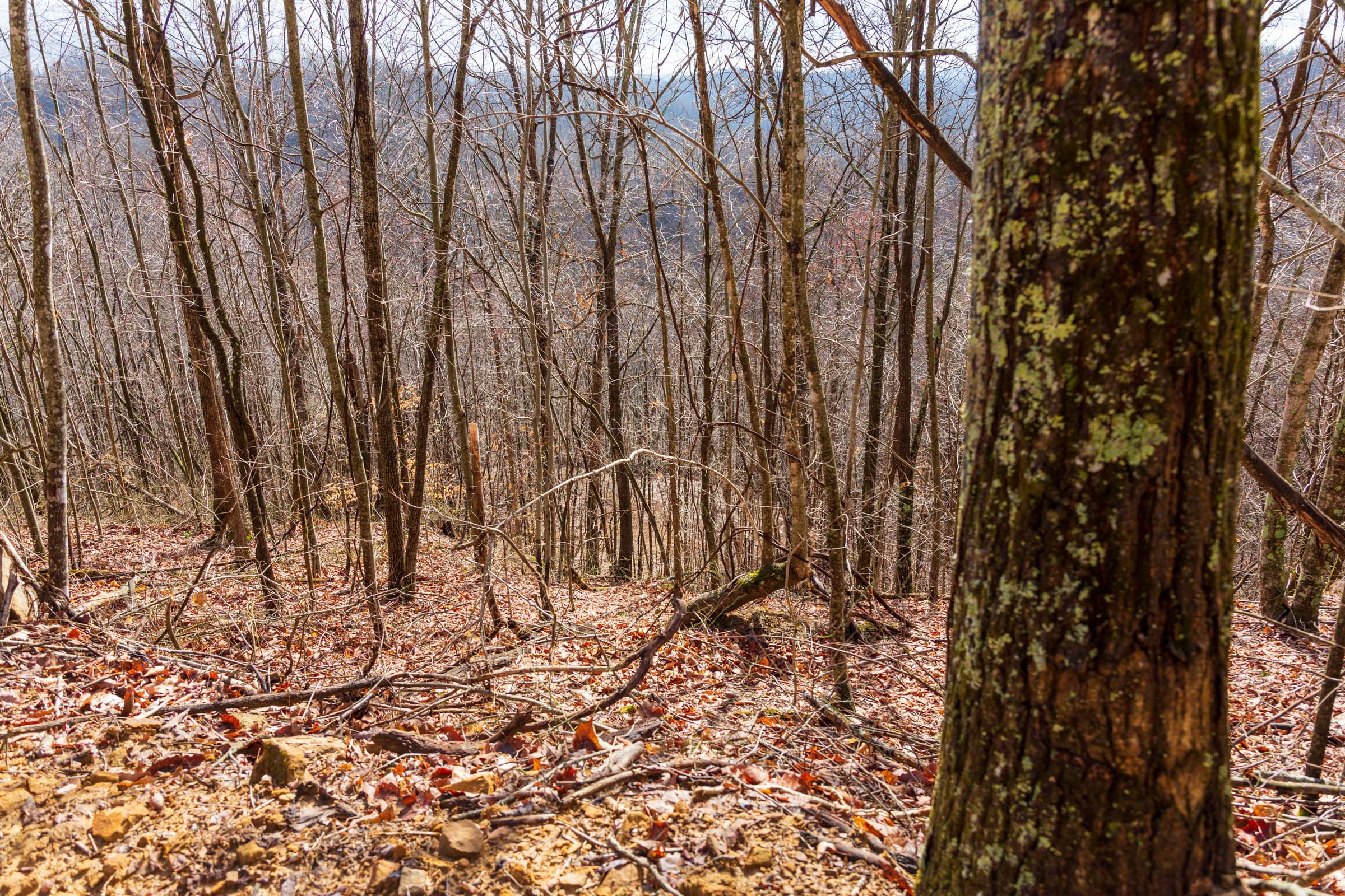 Tract 84 at Blackstone Mountain Phase II in Clay County, Kentucky
