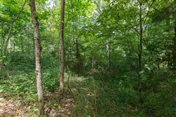 property photo for Springlake Plat 6 Tract 57, 0.19 acres for sale in Miller County, Missouri